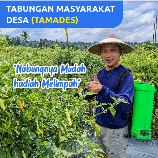 Tabungan Masyarakat Desa (TAMADES)